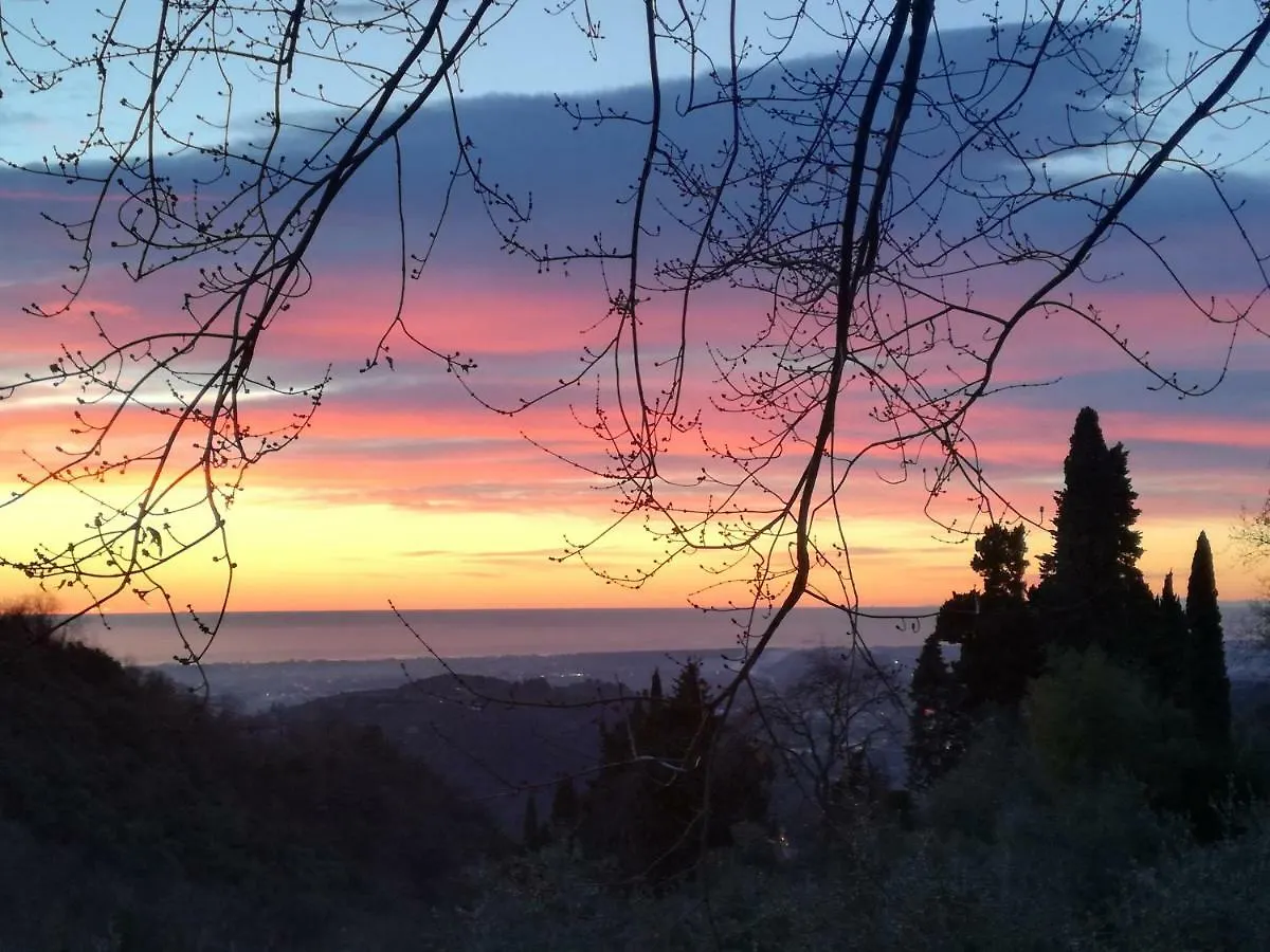 Villa Podere Buonarosa Camaiore 0*,